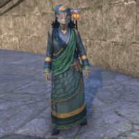 Traveling Merchant (female)