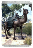ON-card-Black Camel of Ill Omen.png
