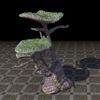 ON-furnishing-Green Algae Coral Formation, Tree Capped.jpg