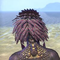 ON-hairstyle-Color Streaked River Braid (Argonian) 03.jpg