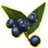 ON-icon-misc-Onyx Berries of Ripeness.png