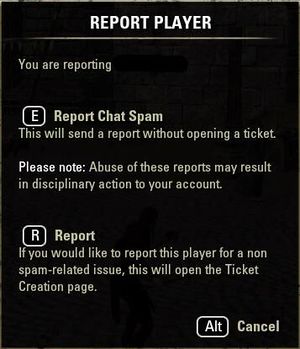 ON-misc-Report Player UI.jpg