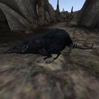 TD3-creature-Black Rat.jpg