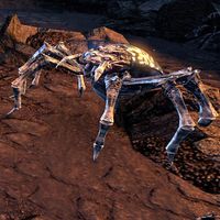 ON-creature-Warchief's Spider.jpg
