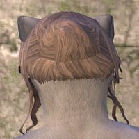 ON-hairstyle-The Tousled Bard (Khajiit) 03.jpg