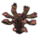 ON-icon-furnishing-Antler Coral, Branched Spire.png