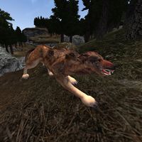 TD3-creature-Red Wolf.jpg