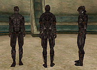 TR-armor-Dark Brotherhood Female.jpg