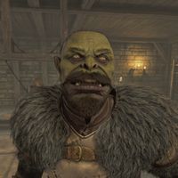 OBR-npc-Burz gro-Khash 02.jpg