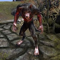 ON-creature-Peasant (Cyrodiil Werewolf).jpg