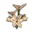 ON-icon-fragment-Flowers.png