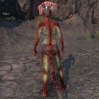 ON-skin-Bloodmarks of Malacath (Argonian) 03.jpg