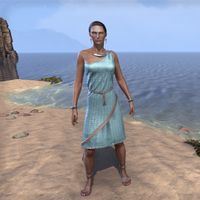 City Isle Tunic Dress (female)