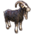 ON-icon-pet-Sanguine's Black Goat.png