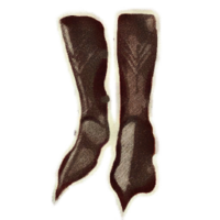 OBR-icon-armor-BlackwoodBoots.png