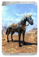 ON-card-Elder Dragon Hunter Horse.png