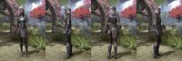 ON-item-armor-Heavy-Assassins League-Female.jpg