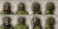 ON-item-armor-Nantharion's Royal Beast Races.jpg
