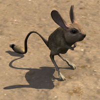 ON-creature-Jerboa.jpg