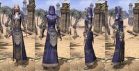 ON-item-armor-Breton Light Robe 4 Female.jpg