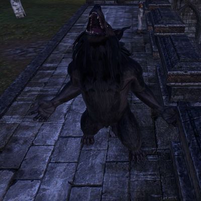 Online:Werewolf Behemoth Sigil - The Unofficial Elder Scrolls Pages (UESP)