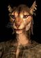 SR-race-Khajiit (female).jpg