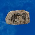 Thumbnail for version as of 01:35, 22 April 2025