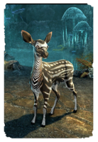 ON-card-Ambersheen Vale Fawn.png