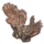 ON-icon-furnishing-Coral Formation, Waving Hands.png