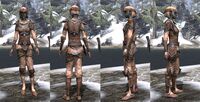 ON-item-armor-Dark Elf Light Jerkin 2 Female.jpg