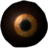 Eye of Sabre Cat