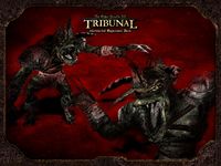 TR-concept-Tribunal Install 02.jpg