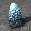ON-furnishing-Chaurus Egg, Dormant.jpg