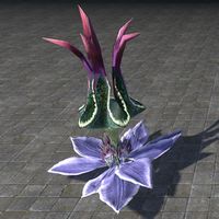 ON-furnishing-Plant, Large Inert Lantern Flower.jpg