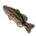 ON-icon-furnishing-Fish, Bass.png
