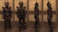 ON-item-armor-Annihilarch's Chosen Heavy Female.jpg