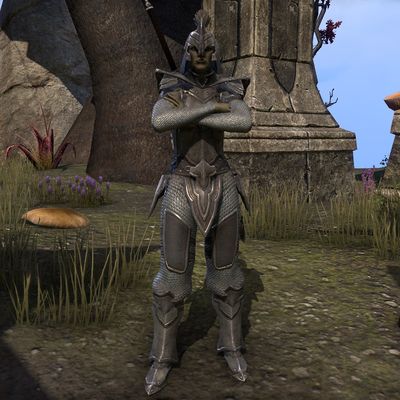 Online:Vault Guardian - The Unofficial Elder Scrolls Pages (UESP)