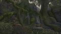 Thumbnail for version as of 01:19, 22 May 2025