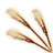 OB-icon-ingredient-Wheat.png