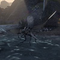 ON-creature-Dragonfly 03.jpg