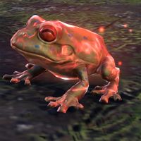 ON-creature-Glowing Frog.jpg