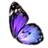 ON-icon-reagent-Butterfly Wing.png
