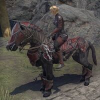 ON-mount-Dark Brotherhood Crew Steed 02.jpg