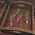 Radishes in Elder Scrolls Online