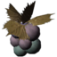 SR-icon-ingredient-Jazbay Grapes.png