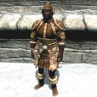 BS5C-item-Fur Armor Male.jpg