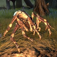 ON-creature-Ciirenas' Spider.jpg