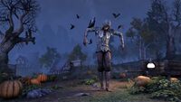ON-crown store-Scarecrow Pose.jpg