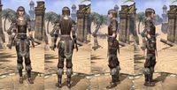 ON-item-armor-Nord Light Jerkin 3 Female.jpg
