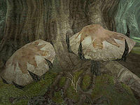 SI-flora-Mushroom Tree Sapling 2.jpg
